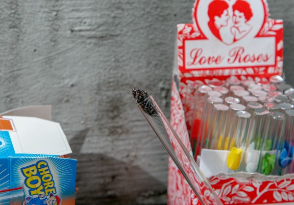 A glass tube with burnt scouring pad in one end; open boxes of multicolored love roses and scouring pads are in the background