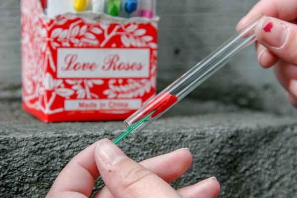 Removing the love rose A human removing a red, plastic rose from a glass tube; an open box of multicolored love roses is in the background