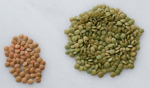 A large pile of green lentils next to a smaller pile of brownish lentils