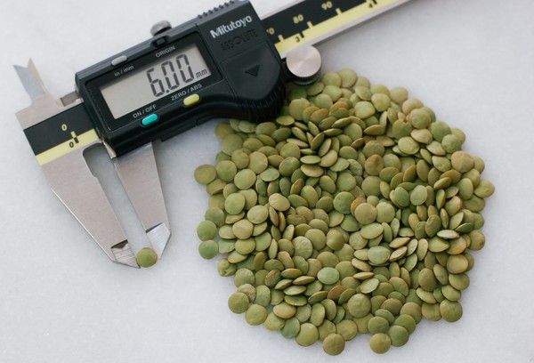 Digital calipers measuring a 6mm lentil next to a pile of green lentils